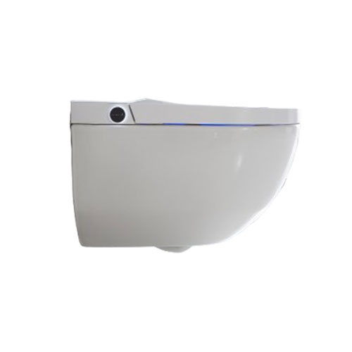 Wall-hung toilet