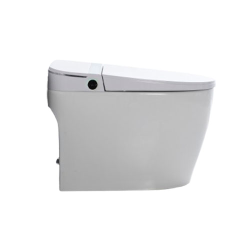 Smart one-piece toilet