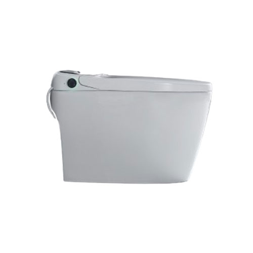 Air pressure-assisted flushing toilet