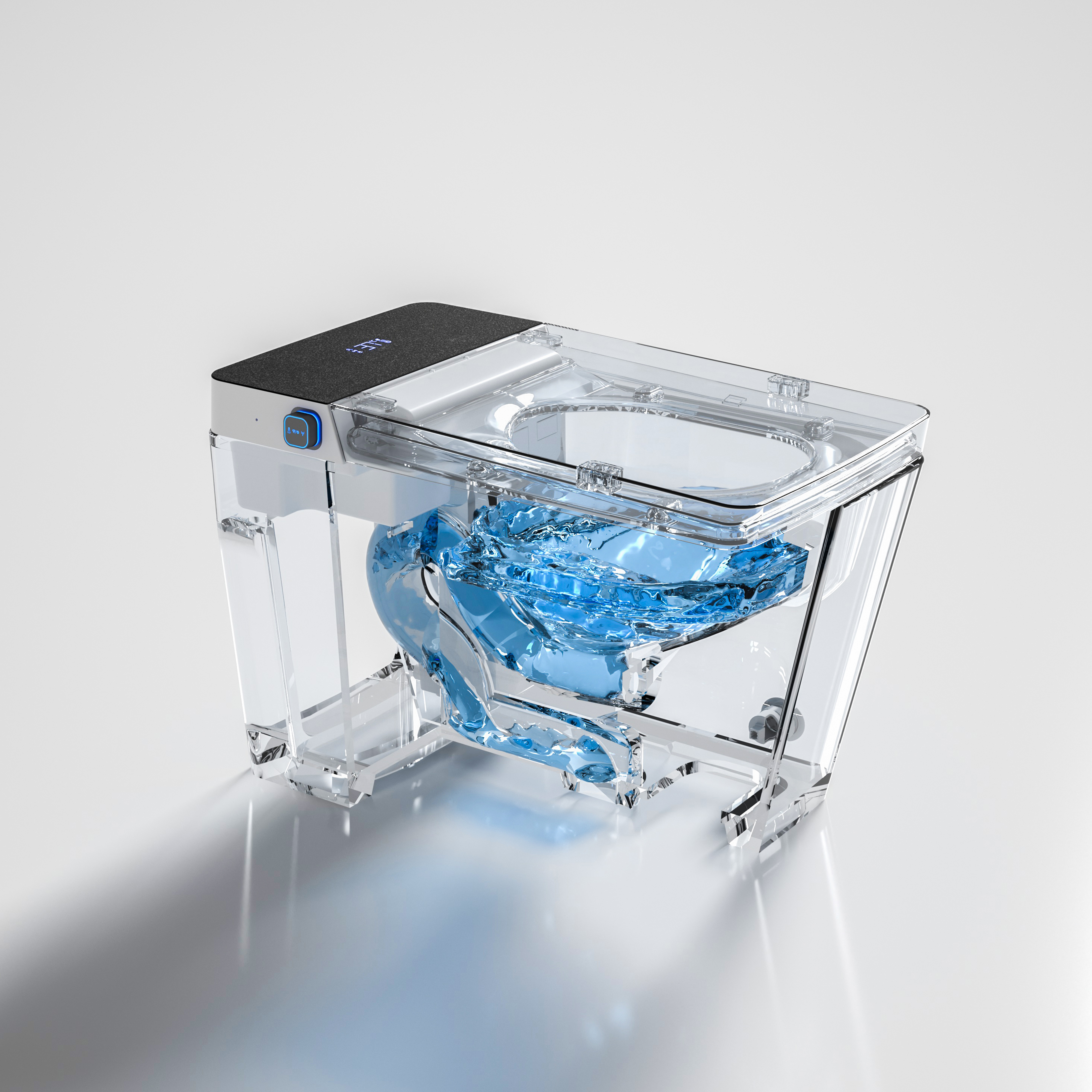 Flushing System