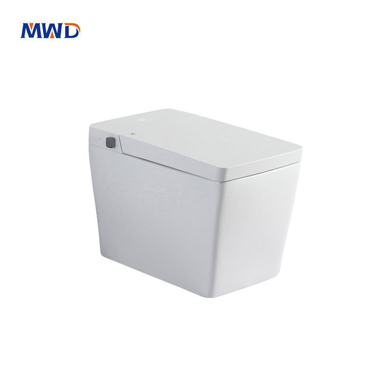 Smart Heated Toilet Seat with Remote Control – Home & Hotel Use 