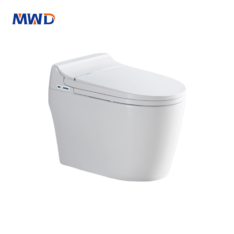 SAA Approved Smart Toilet - Strong-Soft Massage & ECO Mode
