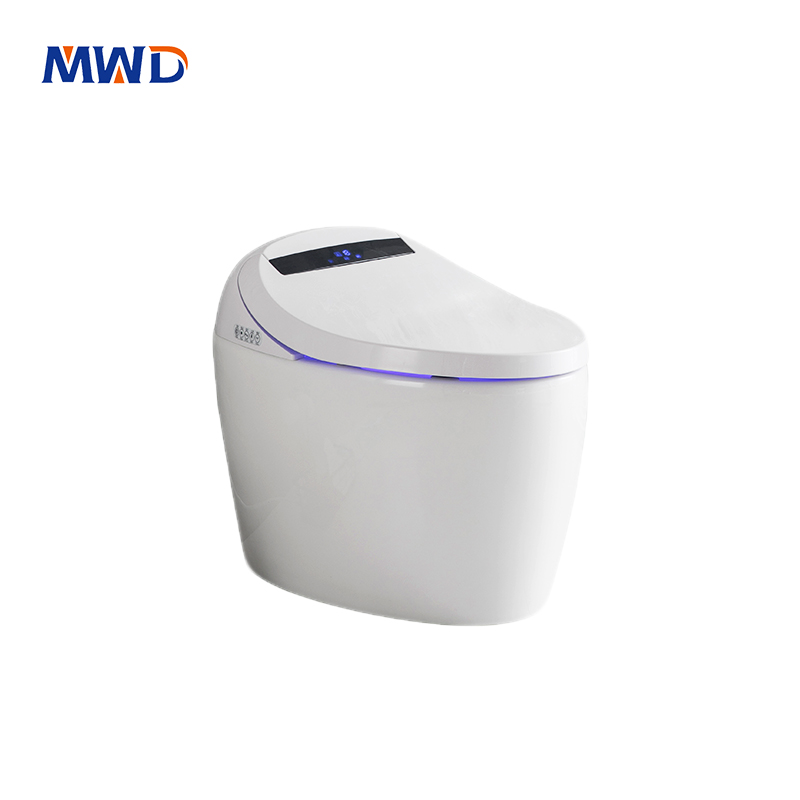 Smart Bidet Toilet - Auto Flush, Heated Seat & Self-Cleaning Nozzle