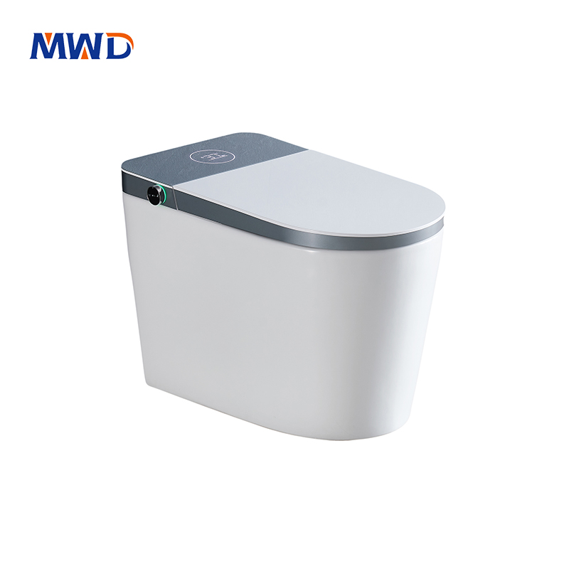 Smart Toilet with Instant Heating | LED Display, Adjustable Pressure | MWD