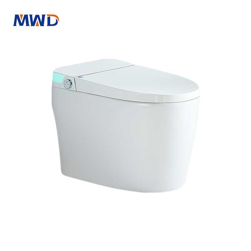 Basic Smart Toilet with Heated Seat & Bidet | Combine Tank | MWD