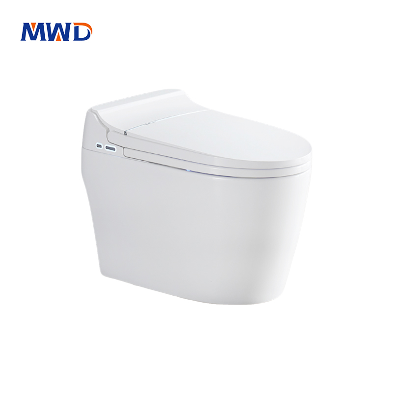 SAA  Approved    -   Smart Toilet - Strong-Soft Massage & ECO Mode