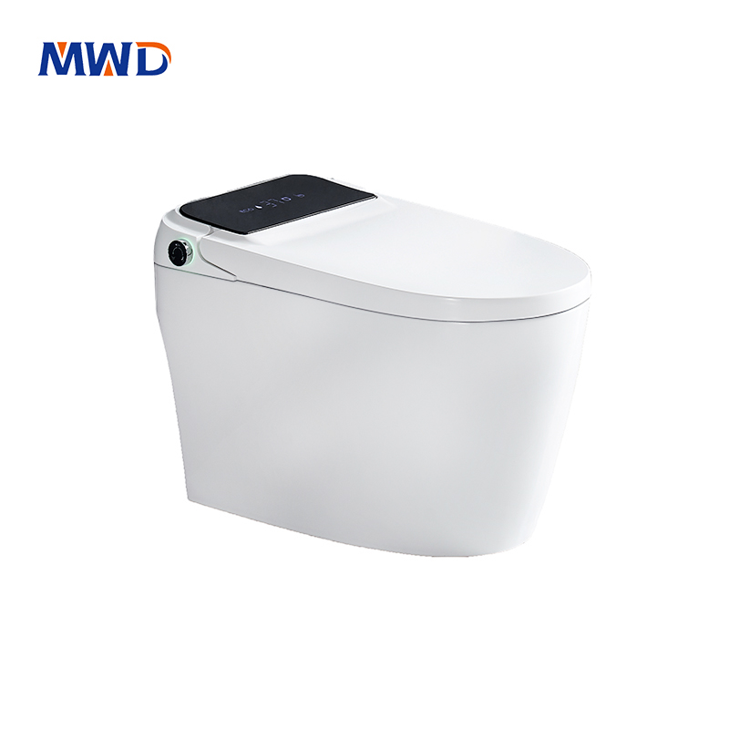 MWD Non-electric seat and air pressure-assisted flushing & bidet washing