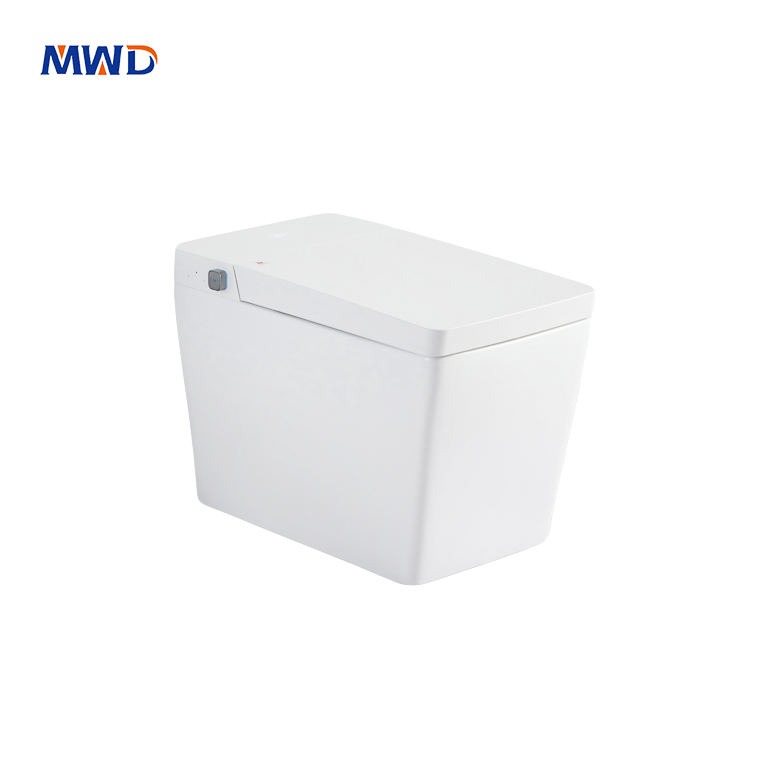 Smart Heated Toilet Seat with Remote Control – Home & Hotel Use 