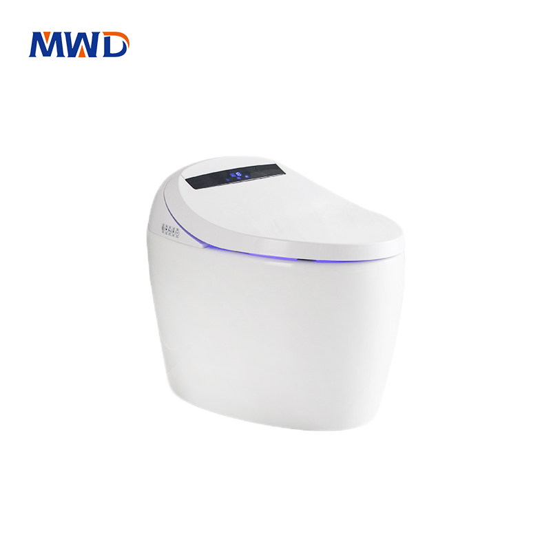 Smart Bidet Toilet - Auto Flush, Heated Seat & Self-Cleaning Nozzle