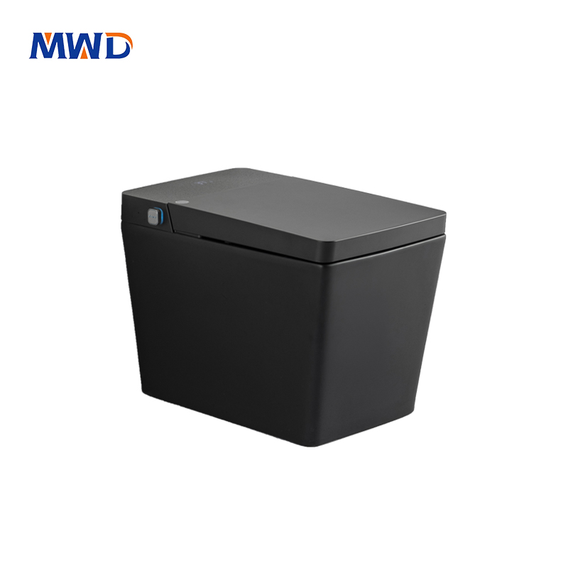 MWD Smart Toilet | Contemporary Black Ceramic One-Piece Design