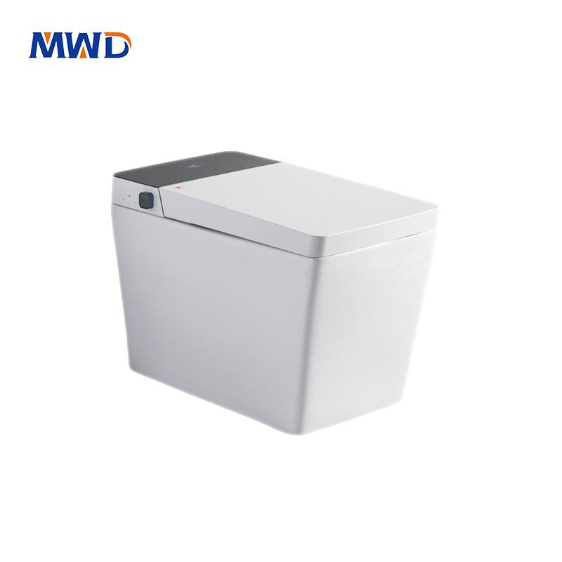 MWD Smart Toilet | Contemporary Black LED Display White body Ceramic One-Piece Design