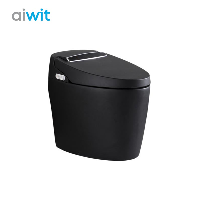 Aiwit Modern Matte Black One-Piece Toilet - Water Efficient Dual Flush - Soft-Close Seat