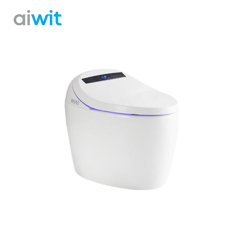 Smart Bidet Toilet - Auto Flush, Heated Seat & Self-Cleaning Nozzle