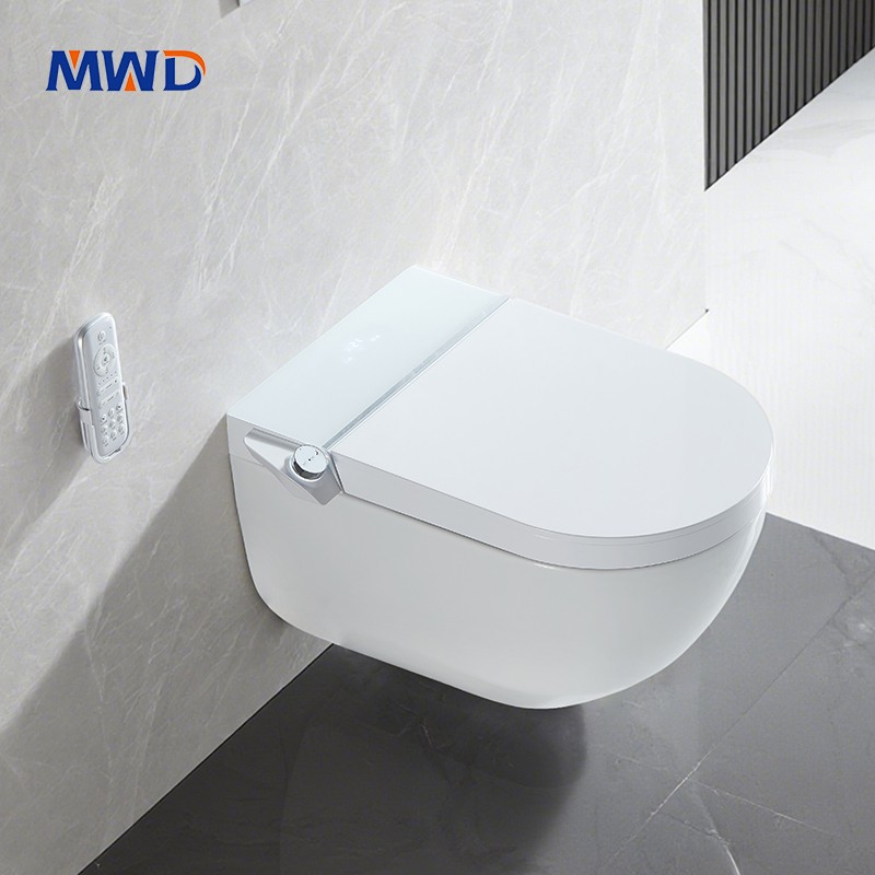 smart wall-hung toilet.jpg