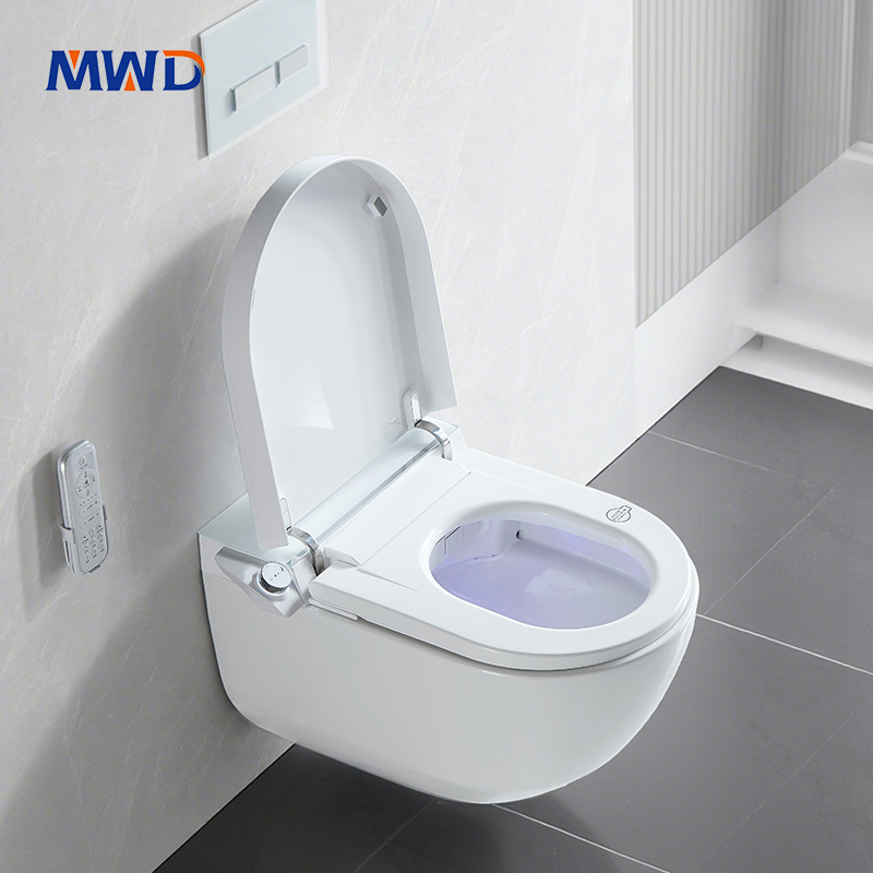 white wall hung toilet.jpg
