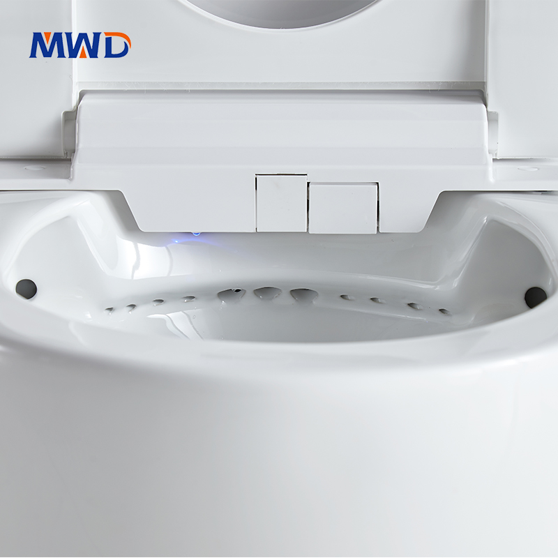 flush toilet.jpg