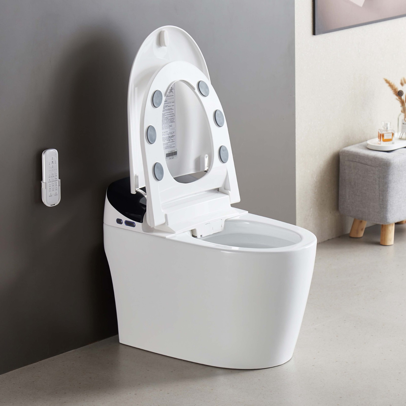 smart toilet.jpg