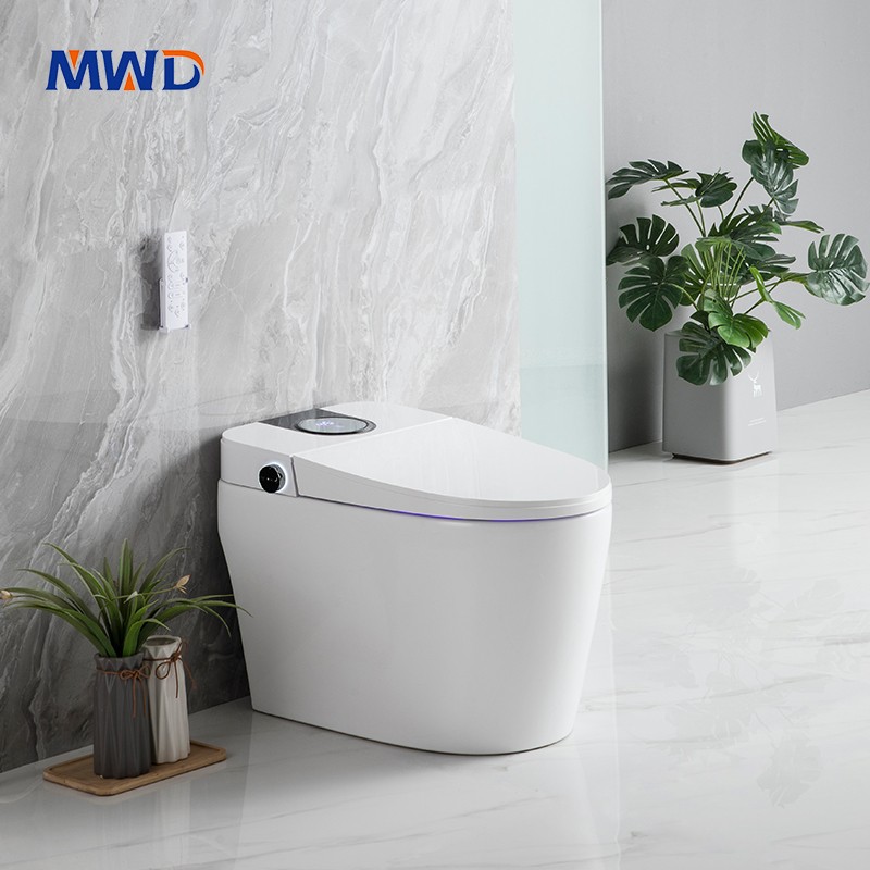 smart toilet.jpg