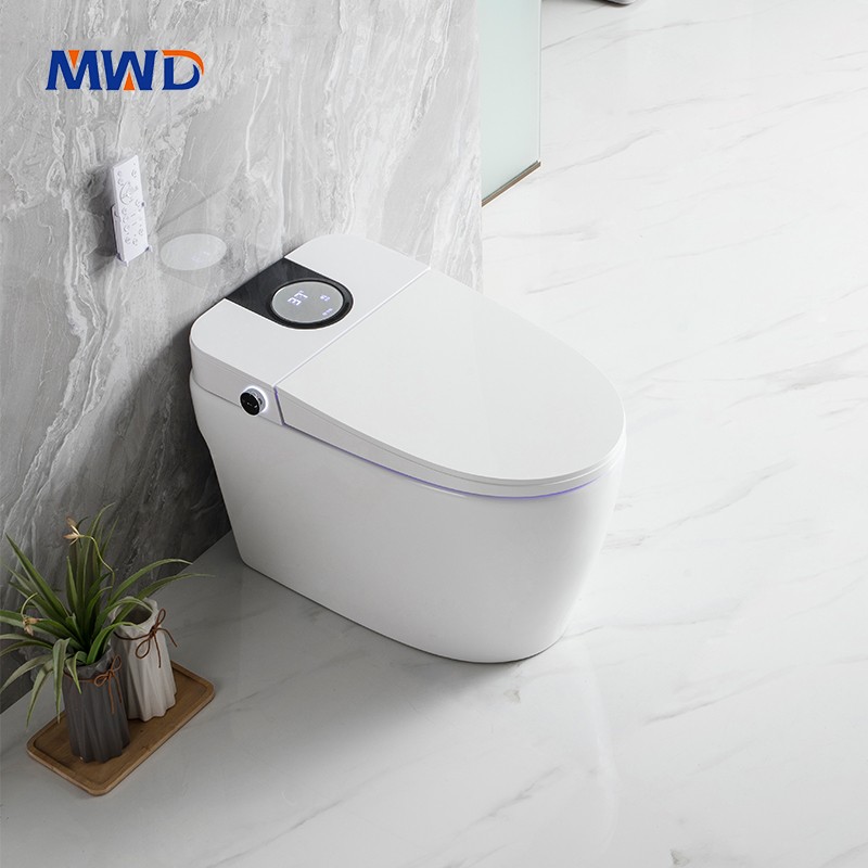 smart toilet