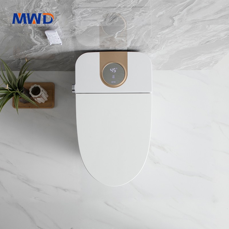 smart toilet.jpg