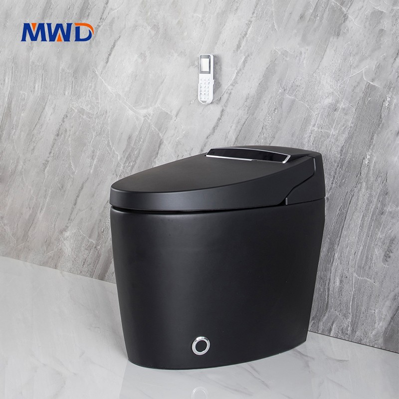 matte black smart toilet