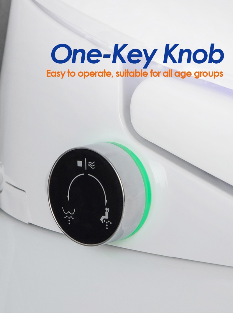 smart toilet have one key knob.jpg