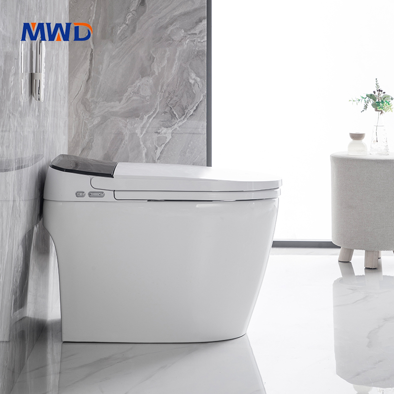 smart toilet