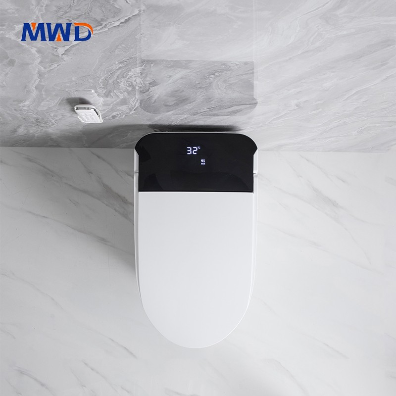 smart toilet