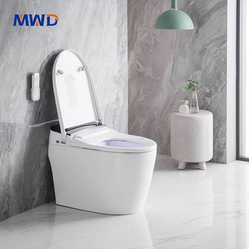 smart toilet