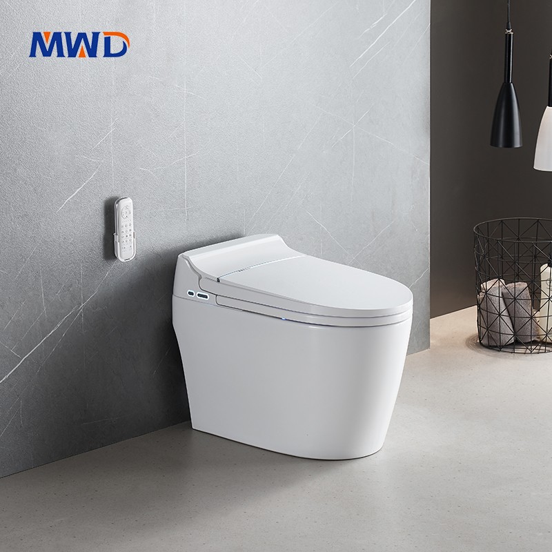 smart toilet