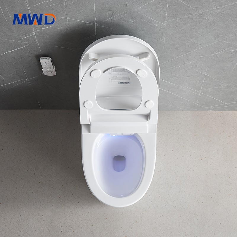 smart toilet