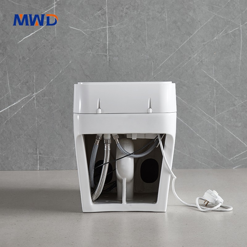 smart toilet