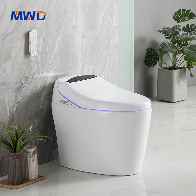 smart toilet