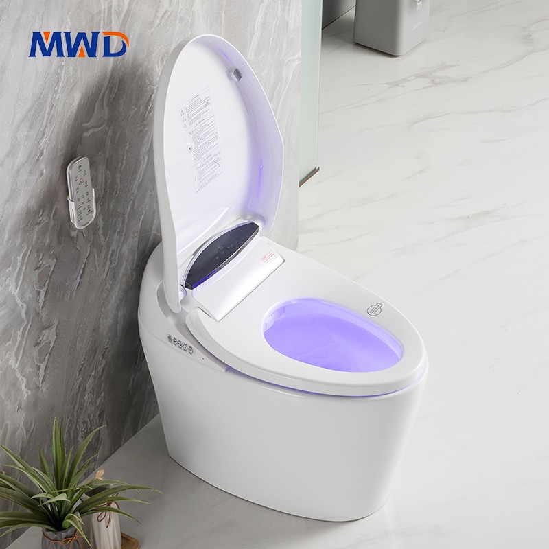 smart toilet