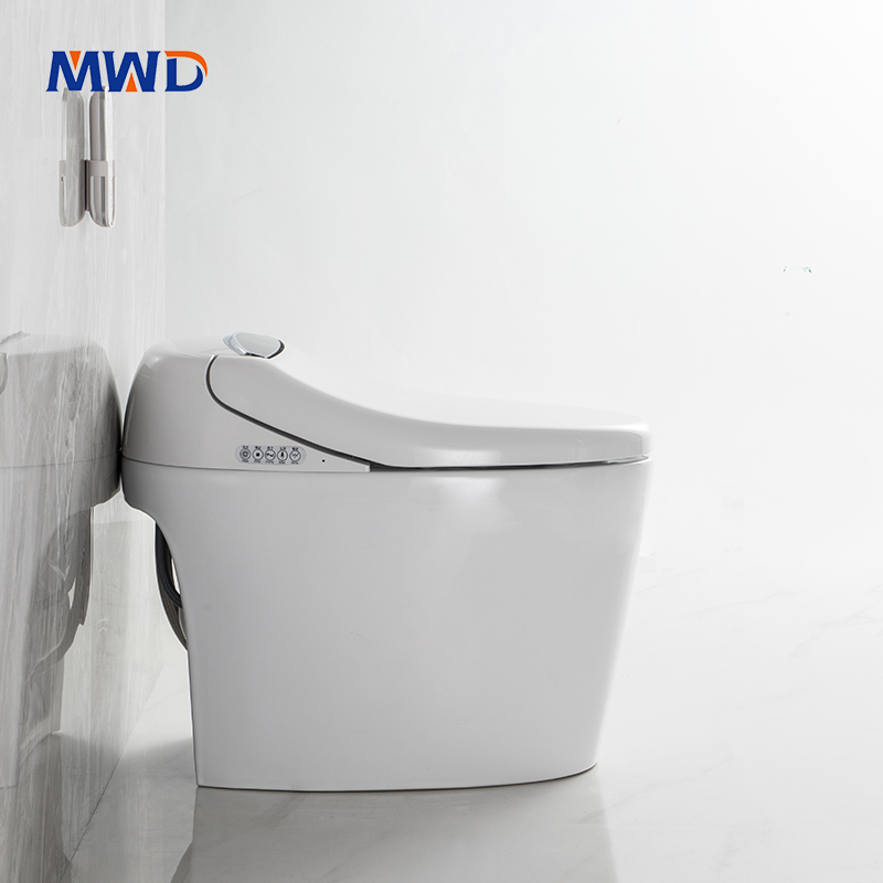 smart toilet