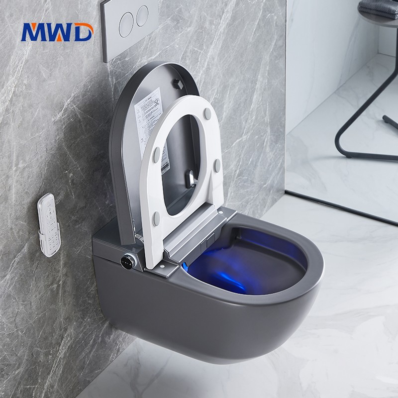wall hung smart toilet