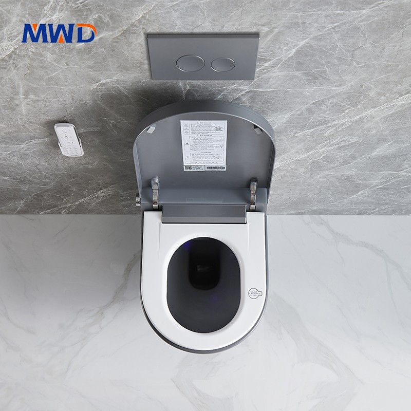 wall hung smart toilet
