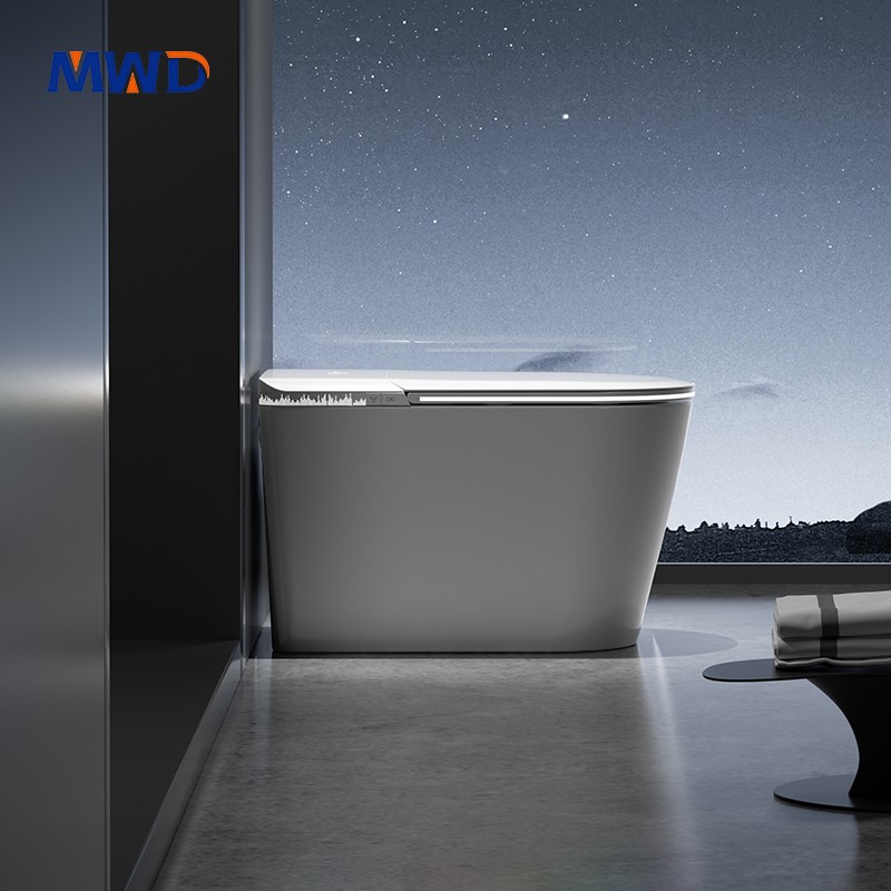 smart toilet