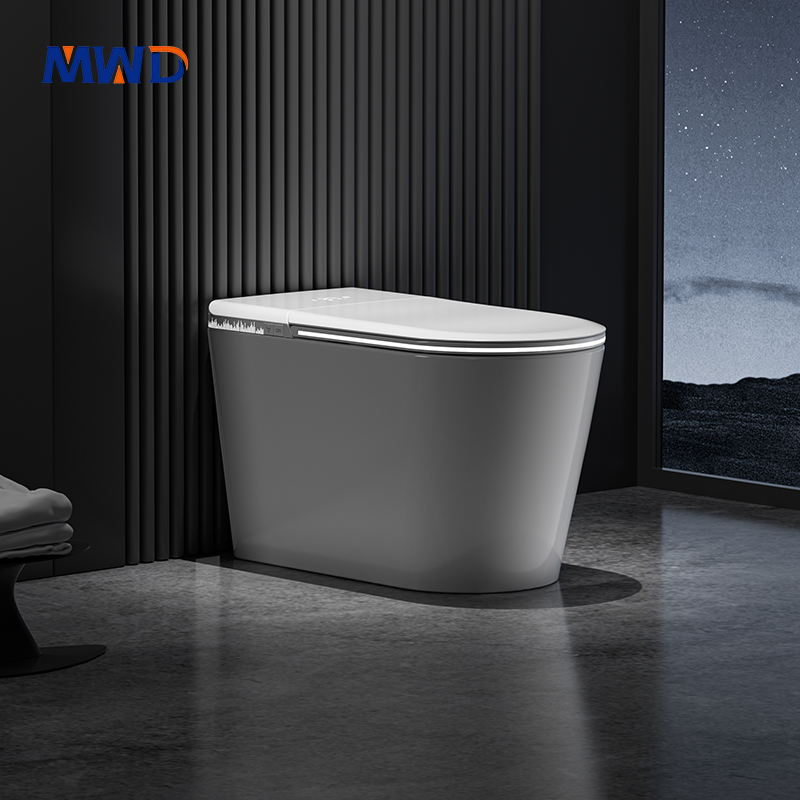 smart toilet