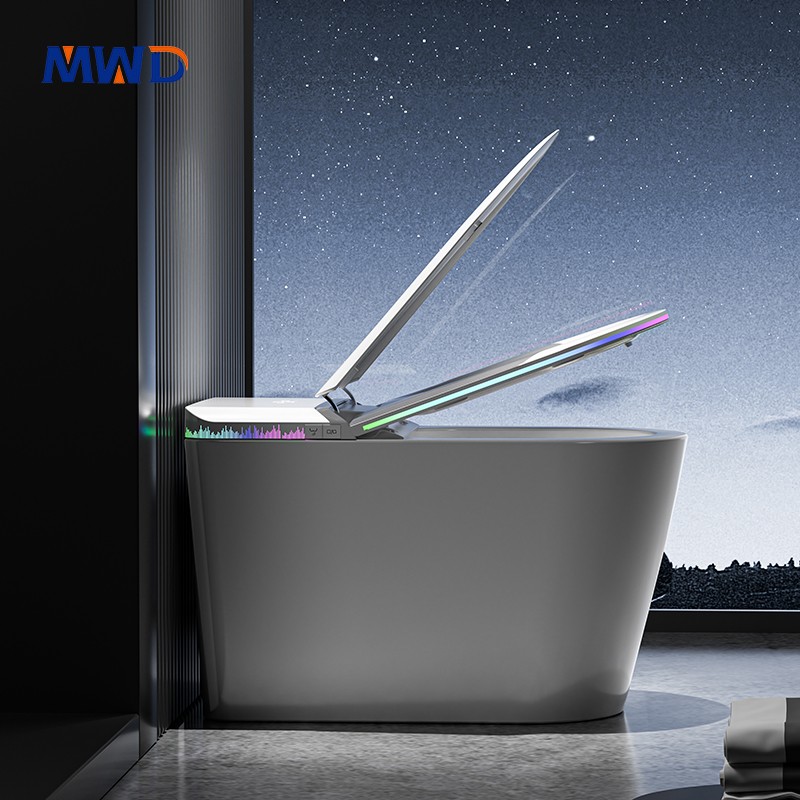 smart toilet