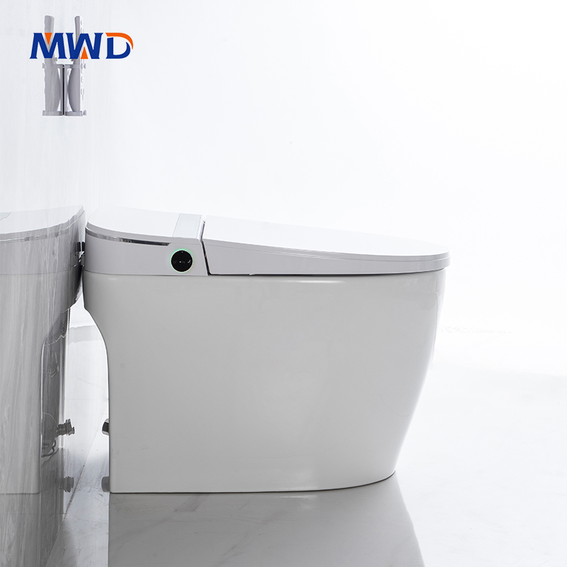 smart toilet