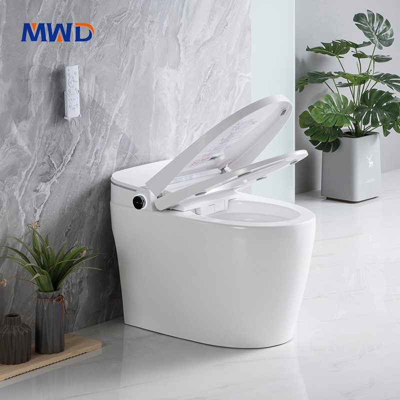 smart toilet