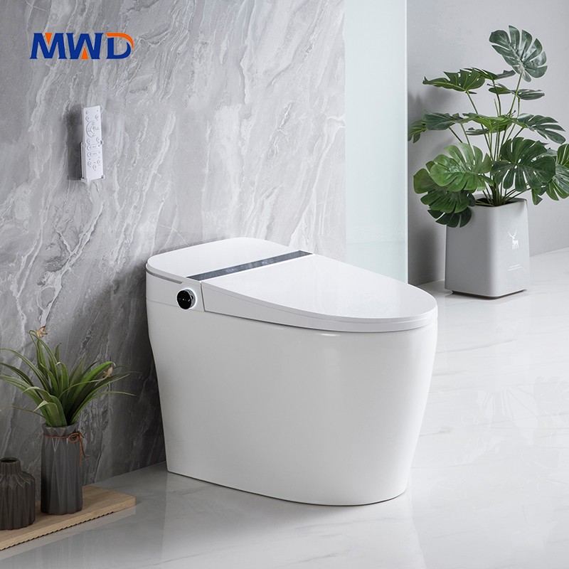 smart toilet