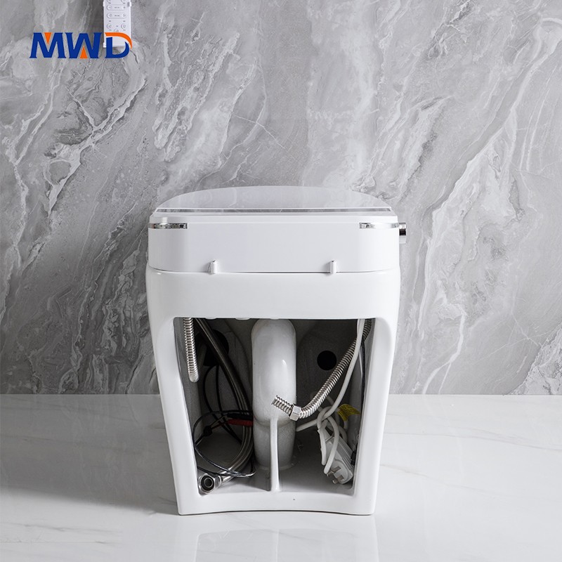 smart toilet