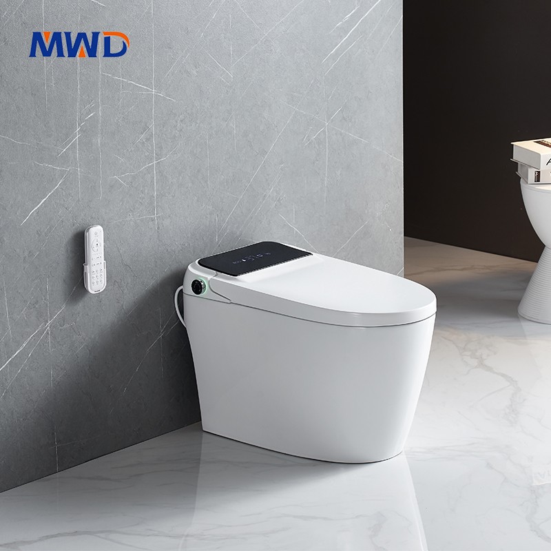 smart toilet