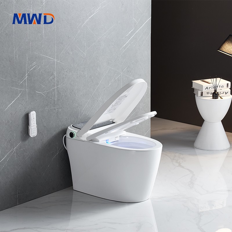 smart toilet