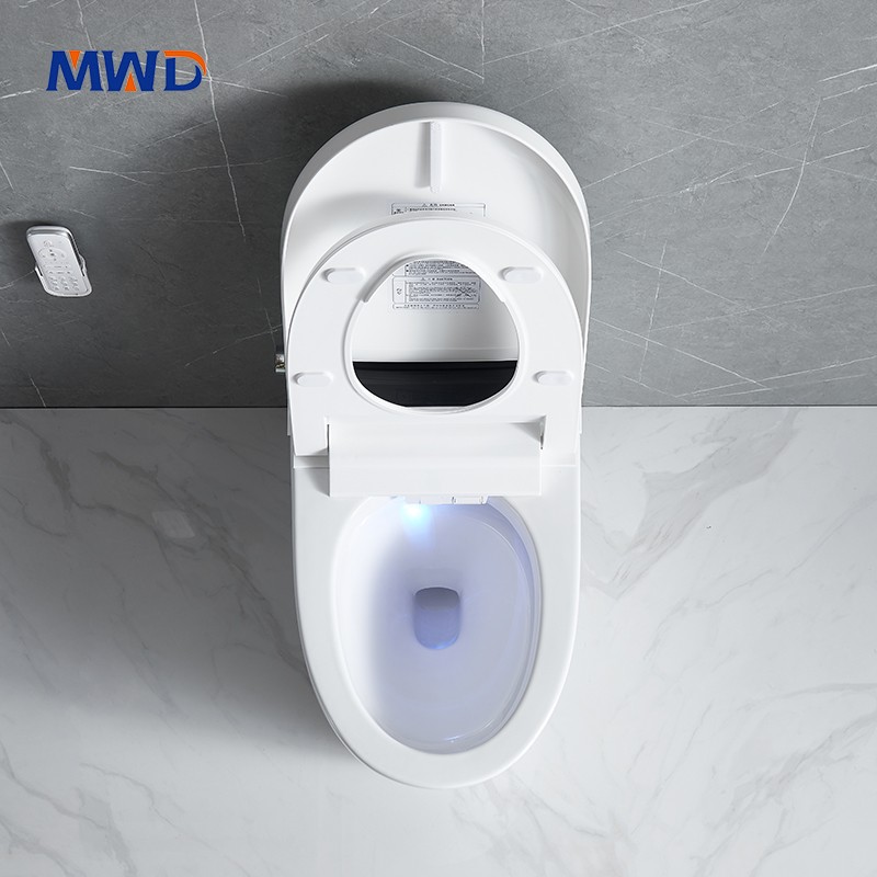 smart toilet