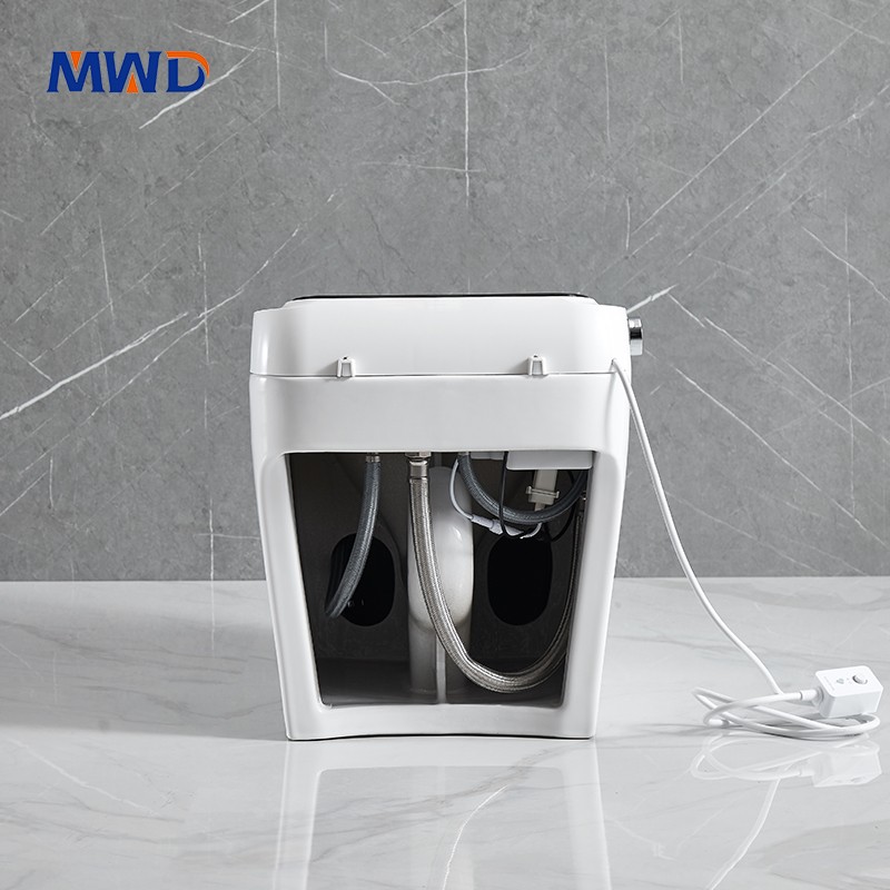 smart toilet