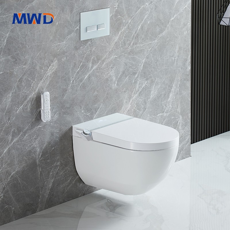 wall hung toilet
