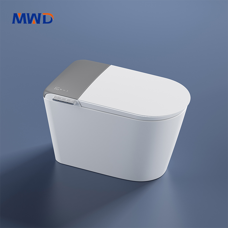 smart toilet